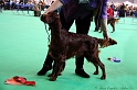Crufts2011 203